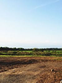 Scenic view of landscape against clear sky