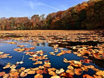 Reflection of trees in lake against sky during autumn