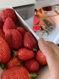 Close-up of hand holding strawberries