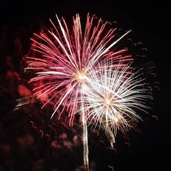 Low angle view of firework display