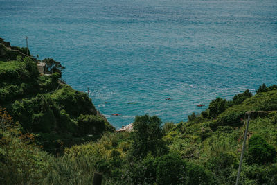 High angle view of trees by sea