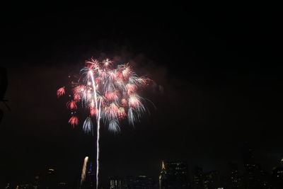 Low angle view of firework display against sky at night