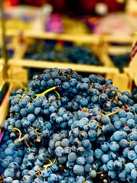Close-up of grapes for sale