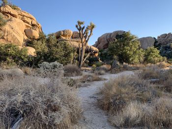 Scenic view of land against clear sky