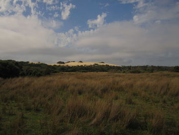 Scenic view of field against sky