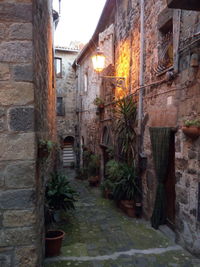 House amidst stone wall