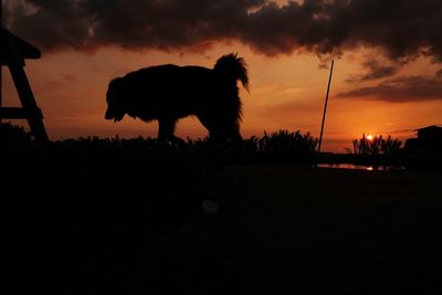 Silhouette horse against sky during sunset