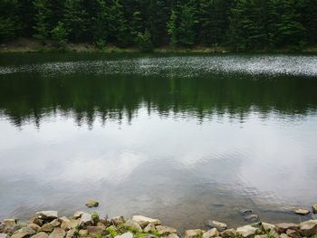 Reflection of trees in lake