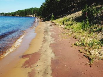 Scenic view of beach