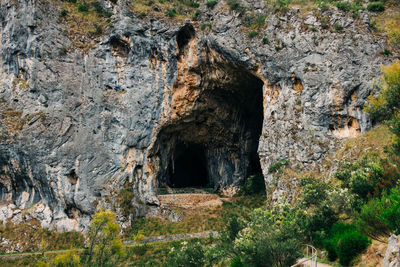 Rock formation amidst trees