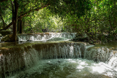 Scenic view of waterfall in forest