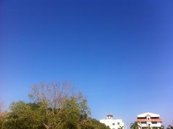 Low angle view of trees and buildings against blue sky