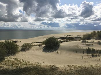 Scenic view of beach against sky