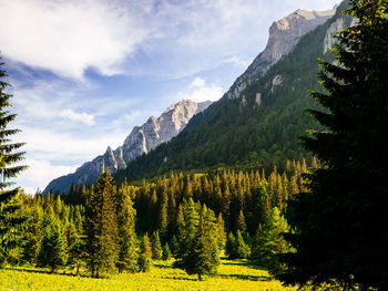 Scenic view of forest and mountains against sky