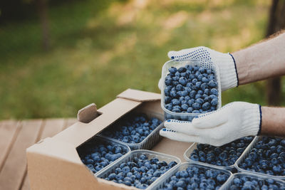 Male hands holding plastic container with large blueberries over cardboard box full of blueberry