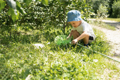 Little boy is walking with butterfly net and catching butterflies on green hills on sunny summer day