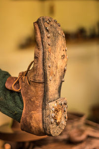 Close-up of animal skull