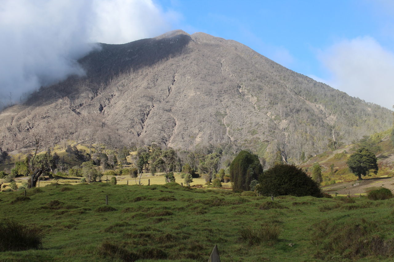 mountain, plant, scenics - nature, environment, landscape, sky, tranquil scene, land, beauty in nature, tranquility, nature, cloud - sky, non-urban scene, green color, no people, day, tree, field, grass, history, mountain range, outdoors, ancient civilization, mountain peak