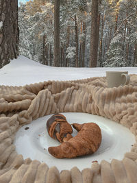 High angle view of snow on table against trees during winter