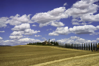 Scenic view of agricultural field against sky