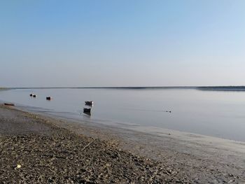 Scenic view of sea against clear sky