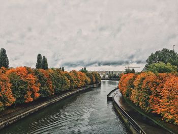 Plants by trees against sky during autumn