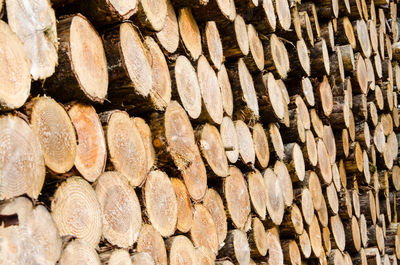 Full frame shot of logs in forest. woodpile 