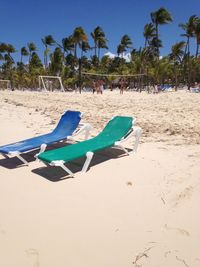 Palm trees on beach