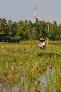 View of bird on grass by lake against sky