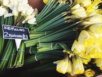 Close-up of yellow and white flowers for sale at market stall