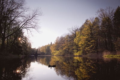 Reflection of trees in lake against clear sky