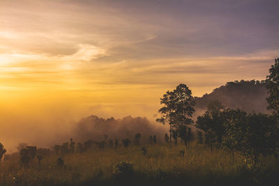 Scenic view of field against sky during sunset