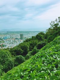 Aerial view of townscape by sea against sky