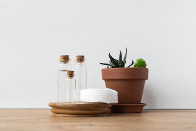 Close-up of potted plant on table against white background