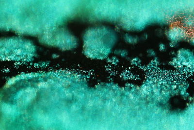 Macro shot of snowflakes