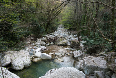 Stream flowing through rocks in forest