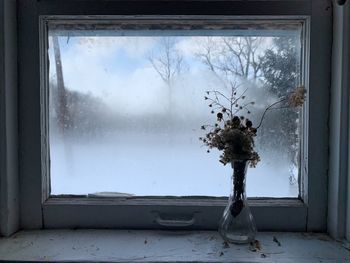 Close-up of flower vase on window sill