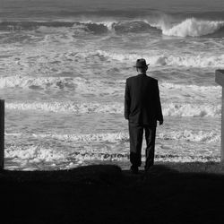 Rear view of man standing on shore