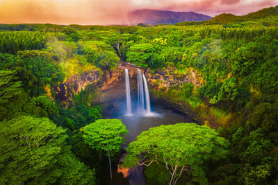 Scenic view of waterfall in forest