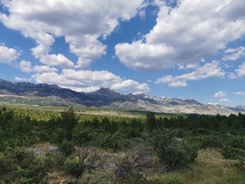 Scenic view of landscape and mountains against sky