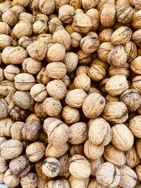 Full frame shot of walnuts