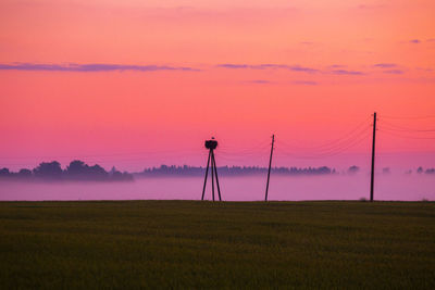 Golden sunrise. serene wheat field in the countryside in northern europe