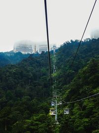 Overhead cable car in forest against sky
