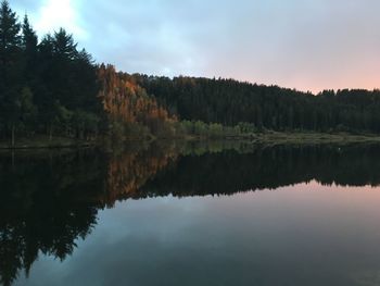 Reflection of trees in lake against sky