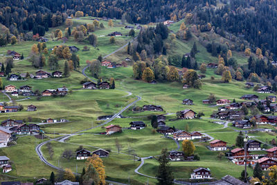 The alpine region of switzerland. grindelwald. wengernalp railway