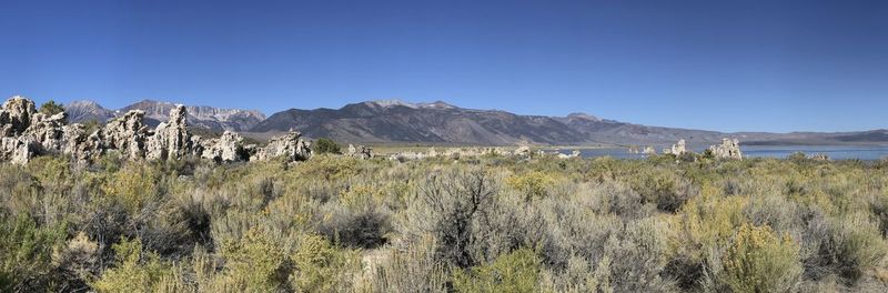 Scenic view of landscape against clear blue sky