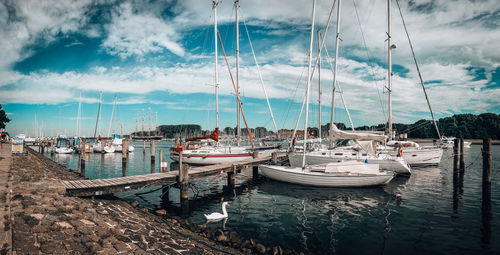 Sailboats moored in harbor