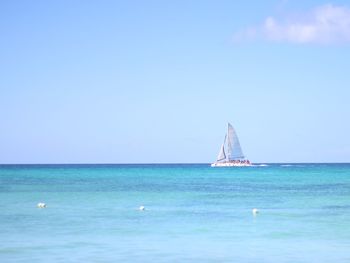 Sailboat sailing in sea against clear sky