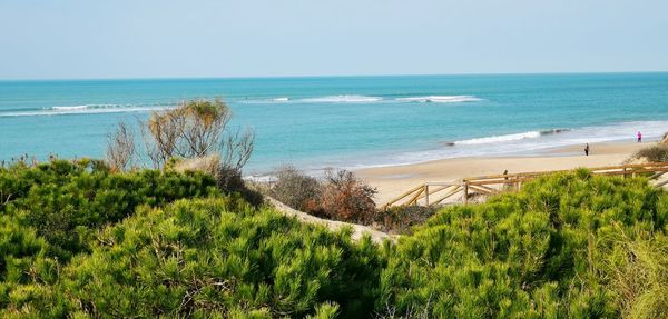 Scenic view of sea against clear sky