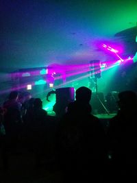 People enjoying music concert at night